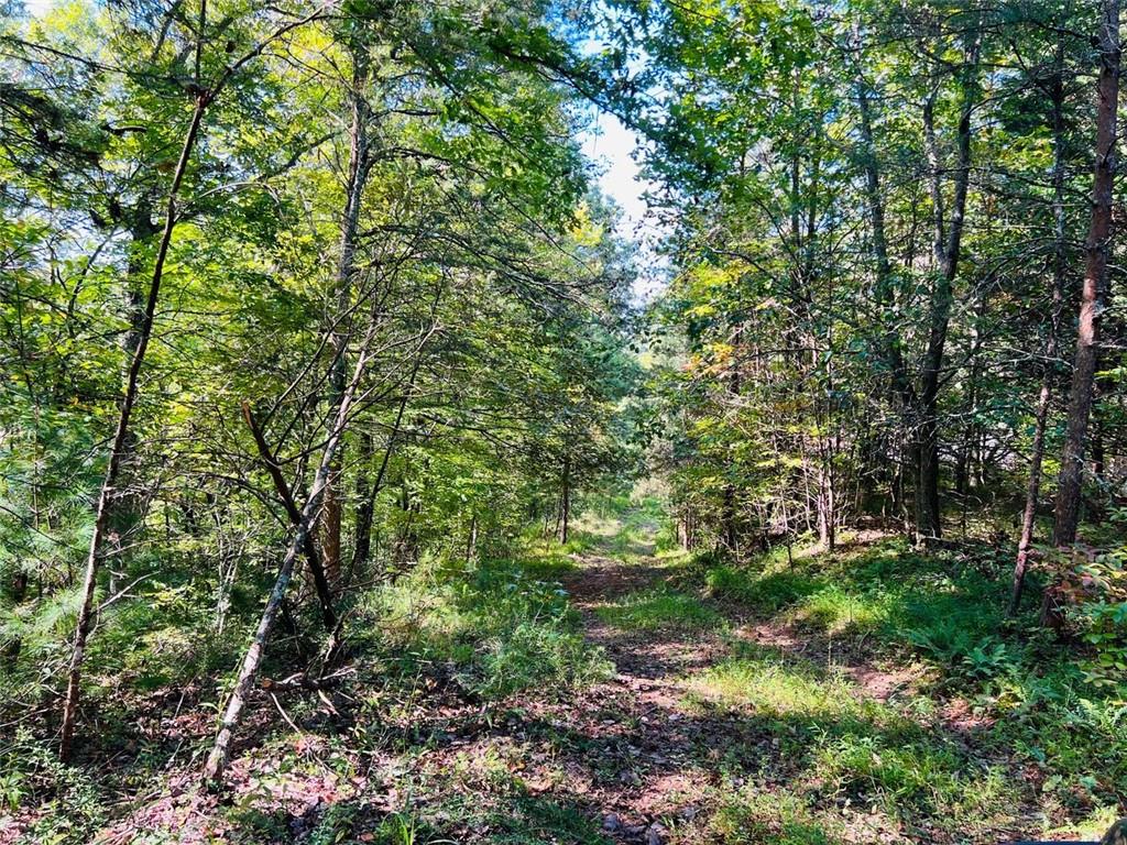 220 Maxwell Mountain Road