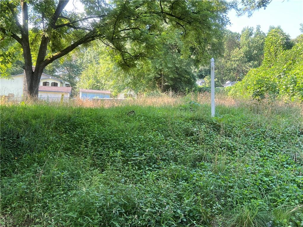 Fantastic opportunity to own a prime piece of land in the heart of Atlanta! This spacious lot at 2554 Etheridge Drive offers incredible potential for new construction or investment. Located in an area experiencing rapid development, this property provides convenient access to major highways, downtown Atlanta, Hartsfield- Jackson Airport, and the Beltline. Whether you're building your dream home or a rental property, this is the perfect canvas for your vision. Don't miss out on this hidden gem in a growing neighborhood!