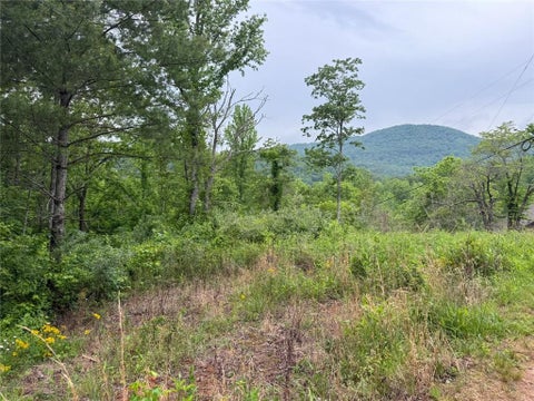 Vacant Land For Sale - LOT 6D Meadow View Lane<br/> Cleveland, GA 30528
