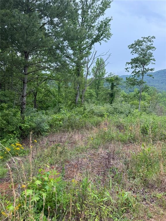 Lot 6D Meadow View Lane