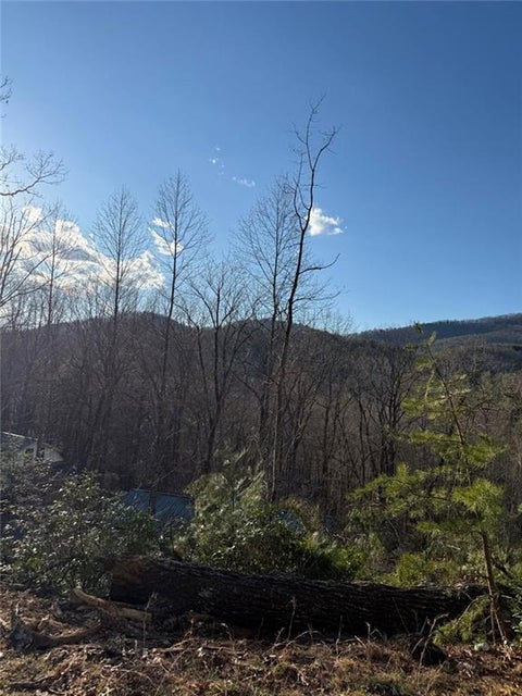 Vacant Land For Sale - LOT 6D Meadow View Lane<br/> Lumpkin County, Cleveland, GA 30528