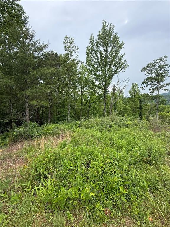 Lot 6D Meadow View Lane