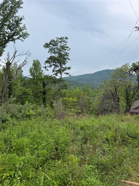 Lot 6D Meadow View Lane