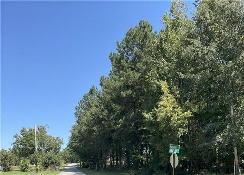 1091 Mantahala Lot 2 Avenue Greensboro GA 30642