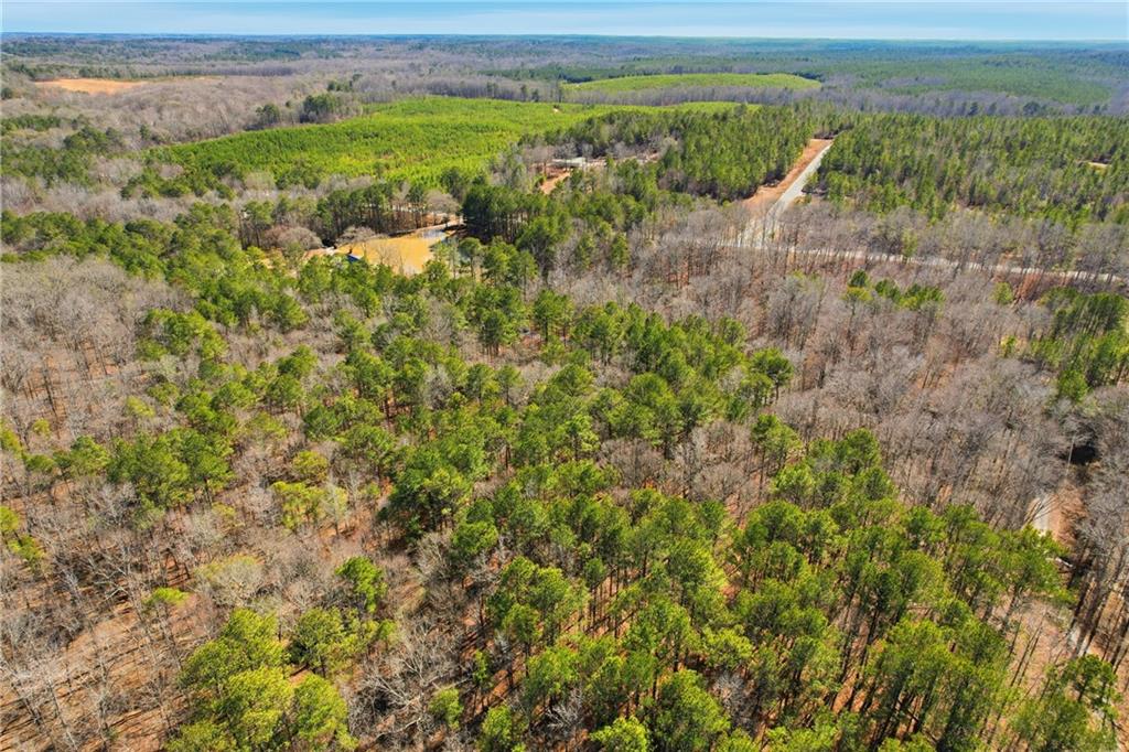 0 Pickett Bridge Road