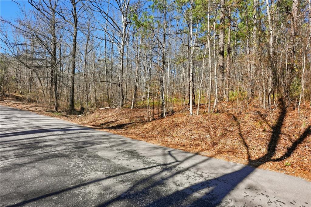 0 Pickett Bridge Road