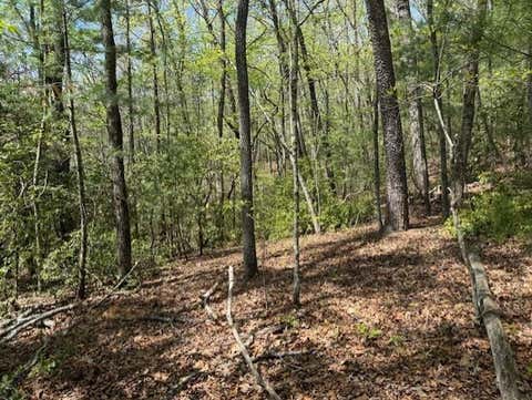 Vacant Land For Sale - LOT 9 Marjorie Ave<br/> Ellijay, GA 30536