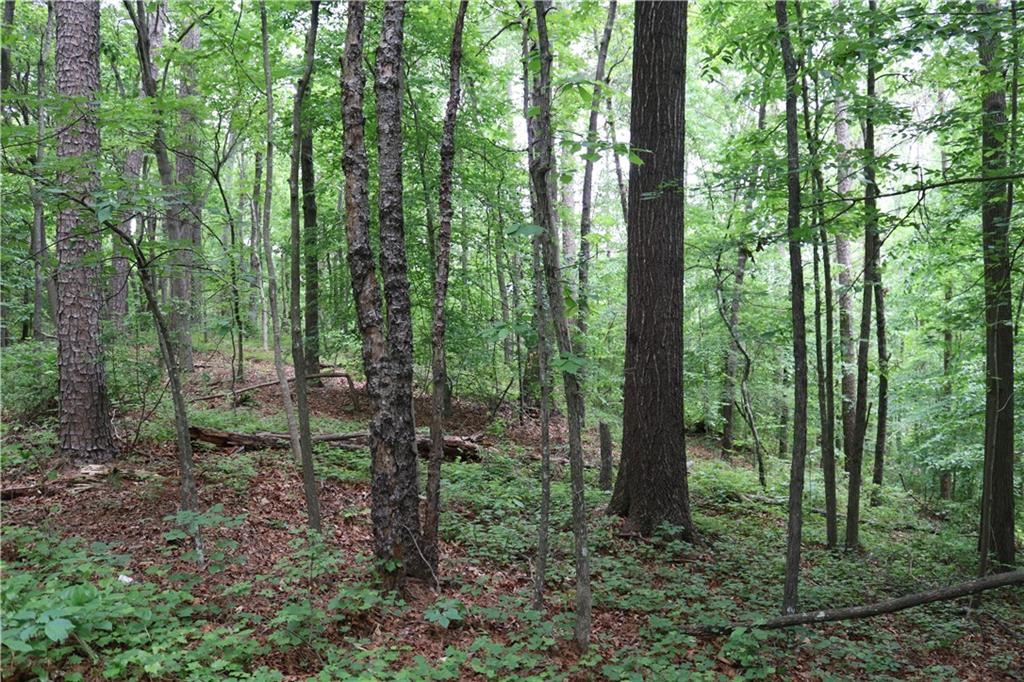 49 Lake Top Drive, Cartersville, Georgia image 8