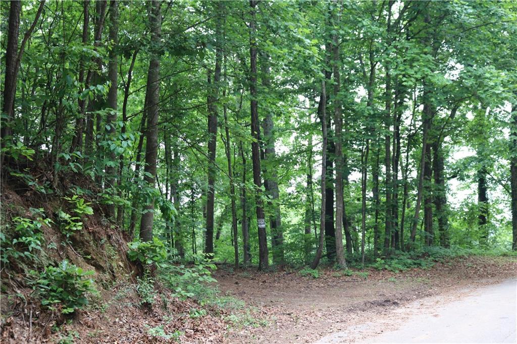 49 Lake Top Drive, Cartersville, Georgia image 2