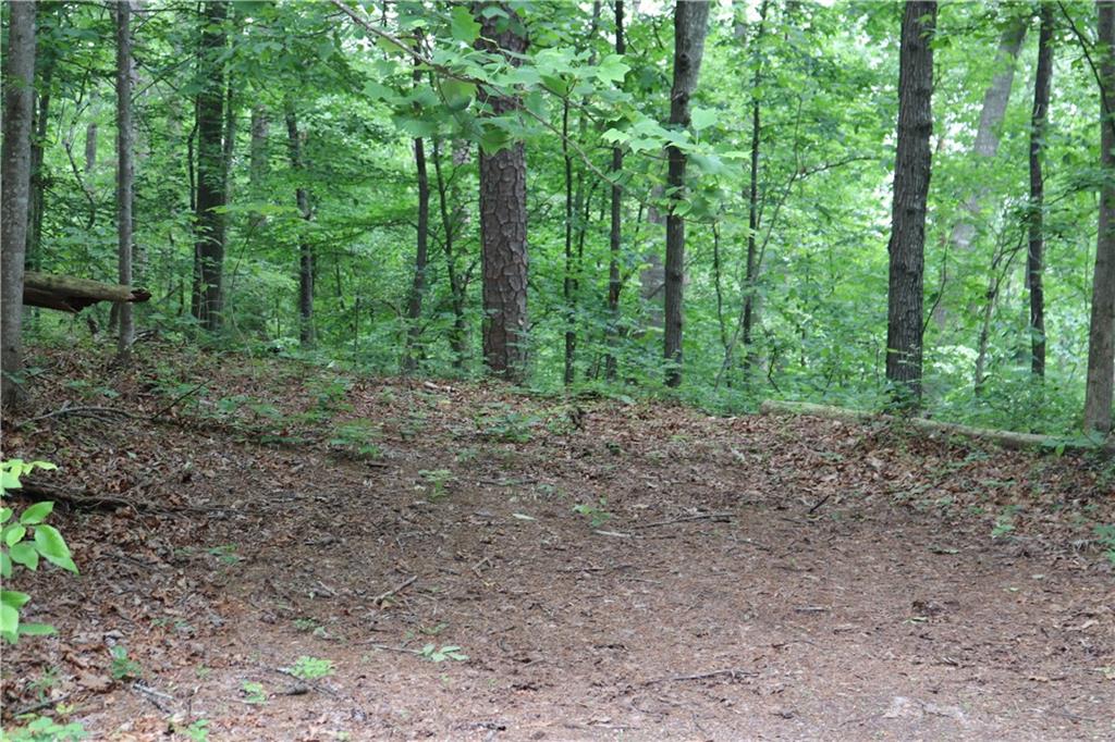 49 Lake Top Drive, Cartersville, Georgia image 1