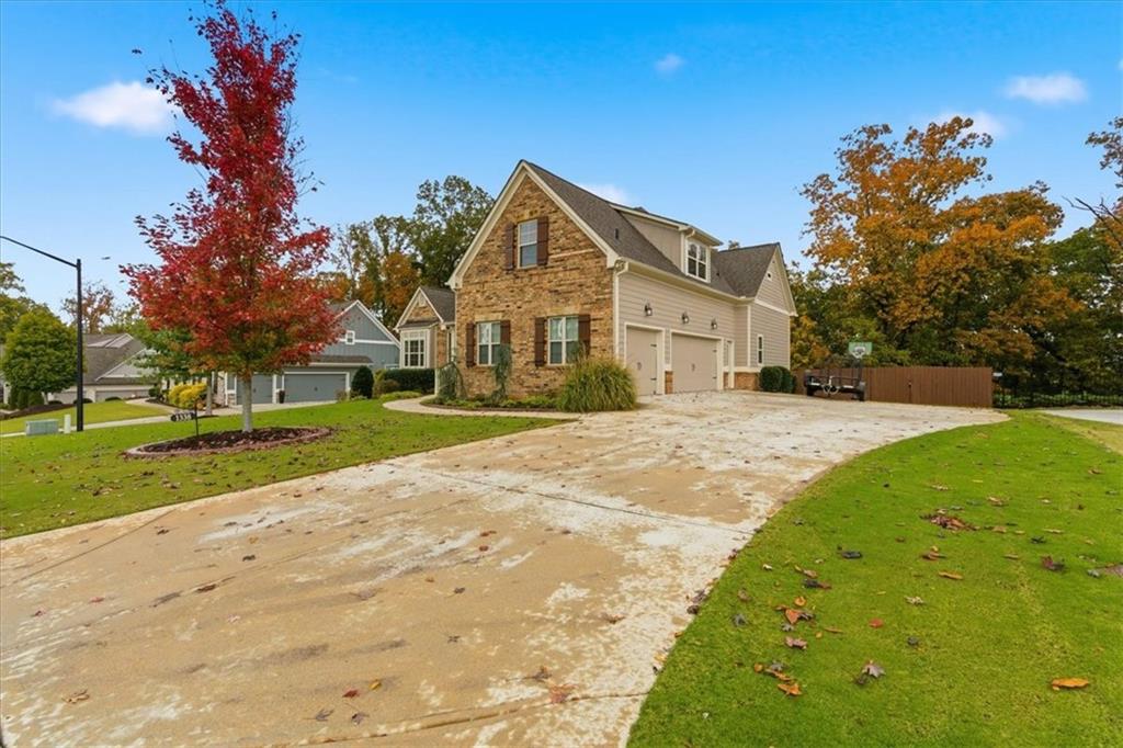 1338 Chipmunk Forest Chase