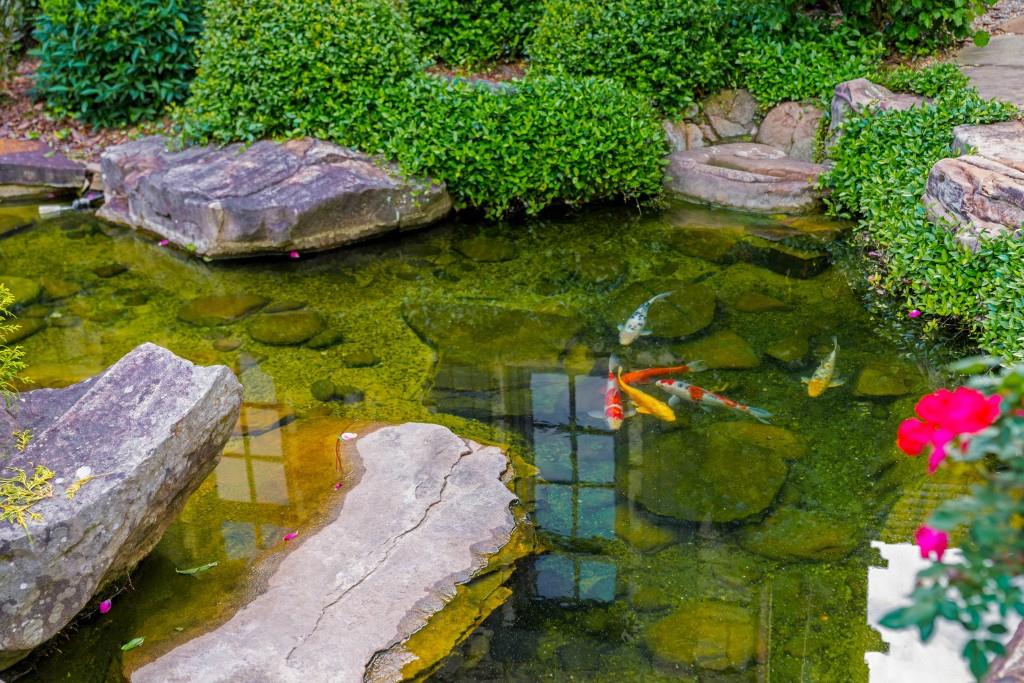 Lake at North Valley - Residential