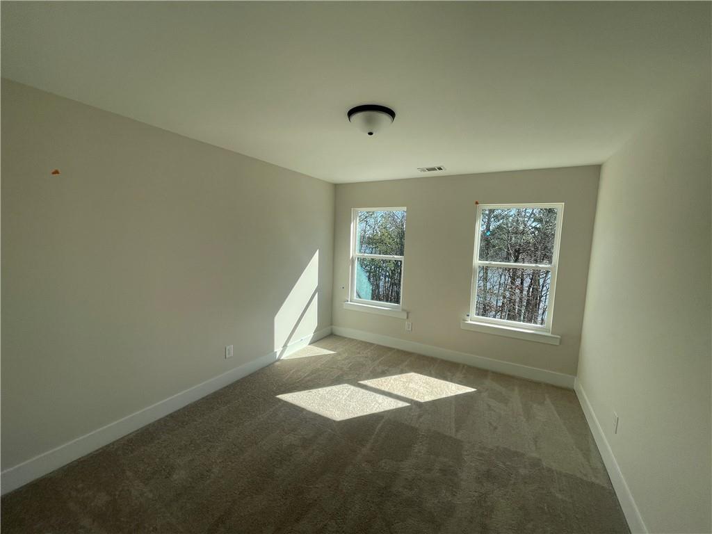 310 Boundless Lane, Canton, Georgia image 16