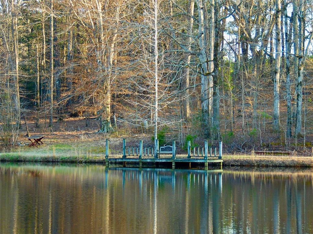587 Piedmont Road, Barnesville, Georgia image 11