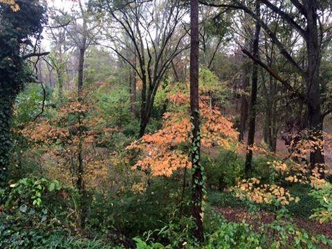 Midway Woods - Residential