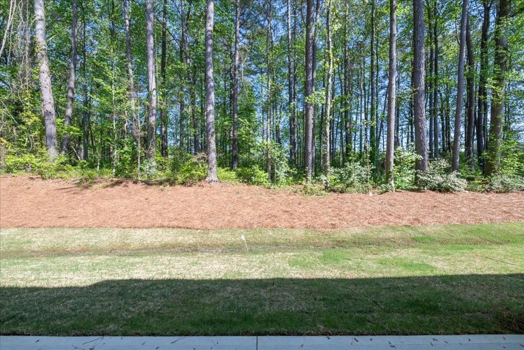 1624 Ruskin Way, Marietta, Georgia image 30