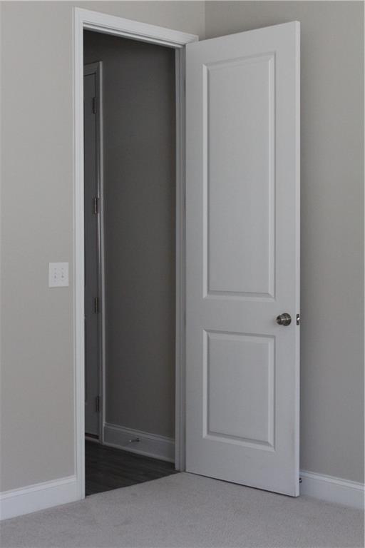 2925 Coach River Way, Cumming, Georgia image 26