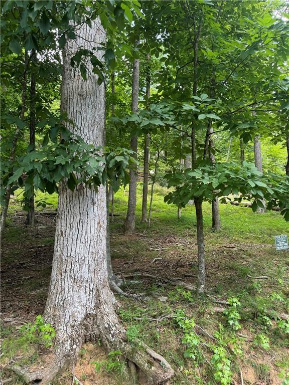 Welcome to your dream home site in the prestigious Bent Tree Community! This lot offers an opportunity to build your custom home amidst serene surroundings and located near the front gate! Nestled within over 3,500 acres of resort-style living, this lot boasts stunning wooded views and direct access to the meticulously maintained golf course. Imagine stepping out your door and enjoying a leisurely walk on the greens whenever you desire.Bent Tree is more than just a neighborhood; it's a lifestyle. Indulge in the numerous amenities this community has to offer. 18-Hole Golf Course: Perfect your swing on the championship course that winds through the picturesque mountainside.You will enjoy fishing in the well-stocked Lake Tamarack or embarking on a peaceful kayaking adventure. Horse enthusiasts will appreciate the on-site stables, pastures, and riding arena. It is easy to stay active with pickleball, tennis, and swimming facilities just around the corner. Enjoy delicious meals and social gatherings at The 19th Hole restaurant. Don't miss this exceptional chance to build your dream home in a community that combines natural beauty, recreational activities, and modern conveniences. Come take a look at this prime lot and envision the endless possibilities for your new construction home!