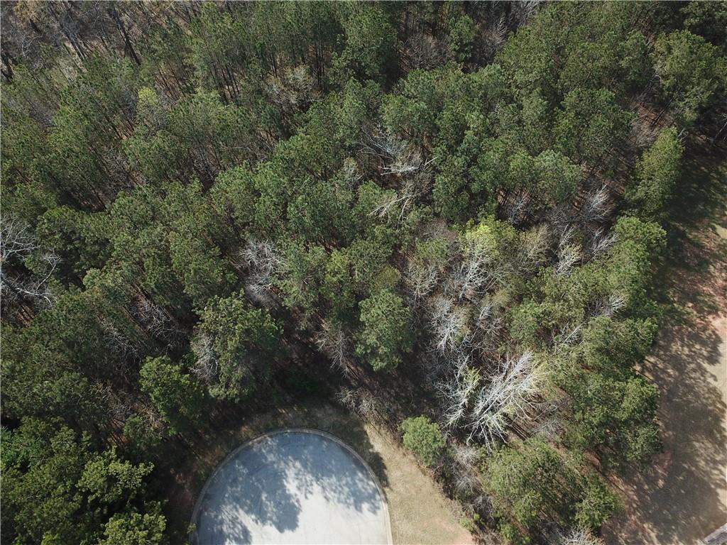 8030 Tristan Way, Whitesburg, Georgia image 6