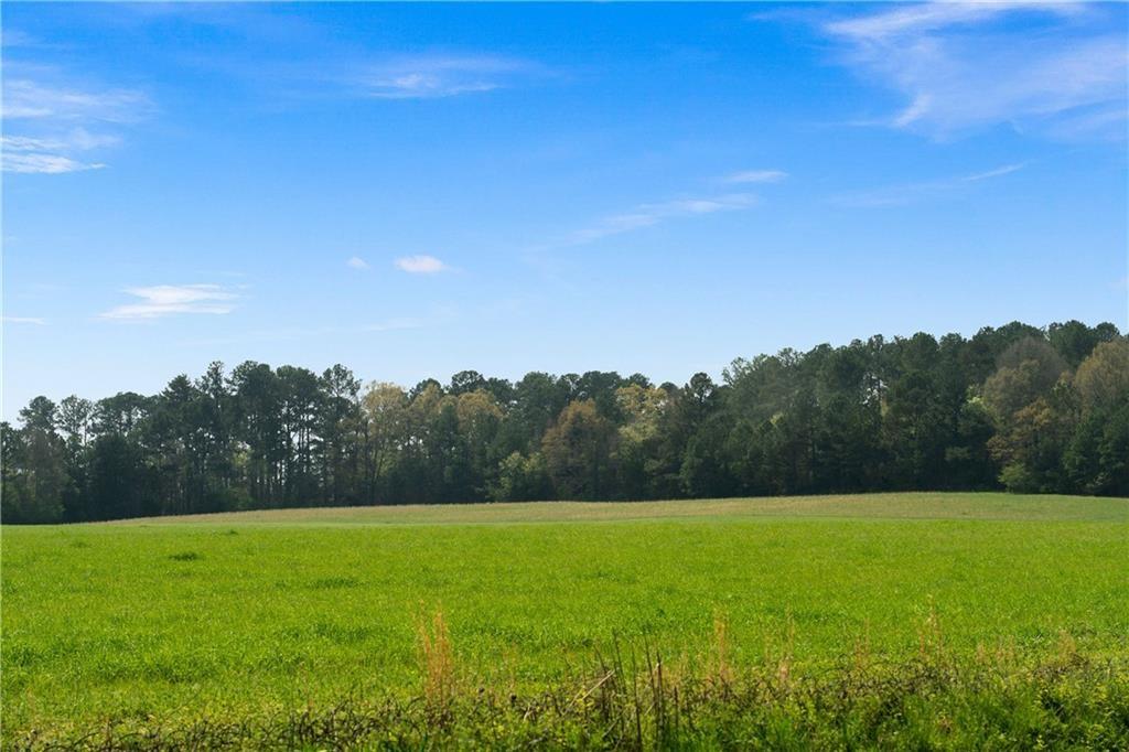 0 Taylorsville Macedonia Rd. Road