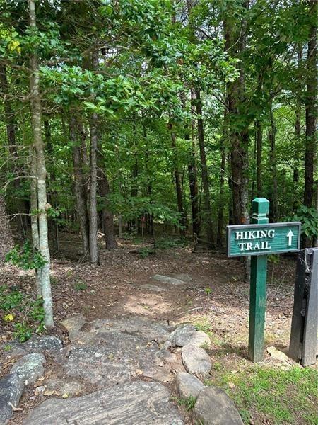 Sharp Top Mountain Trail, Jasper, Georgia image 8