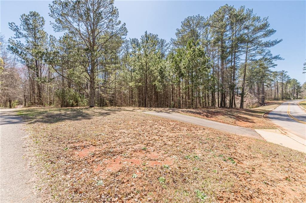 1966 Crescent Moon Drive, Conyers, Georgia image 7