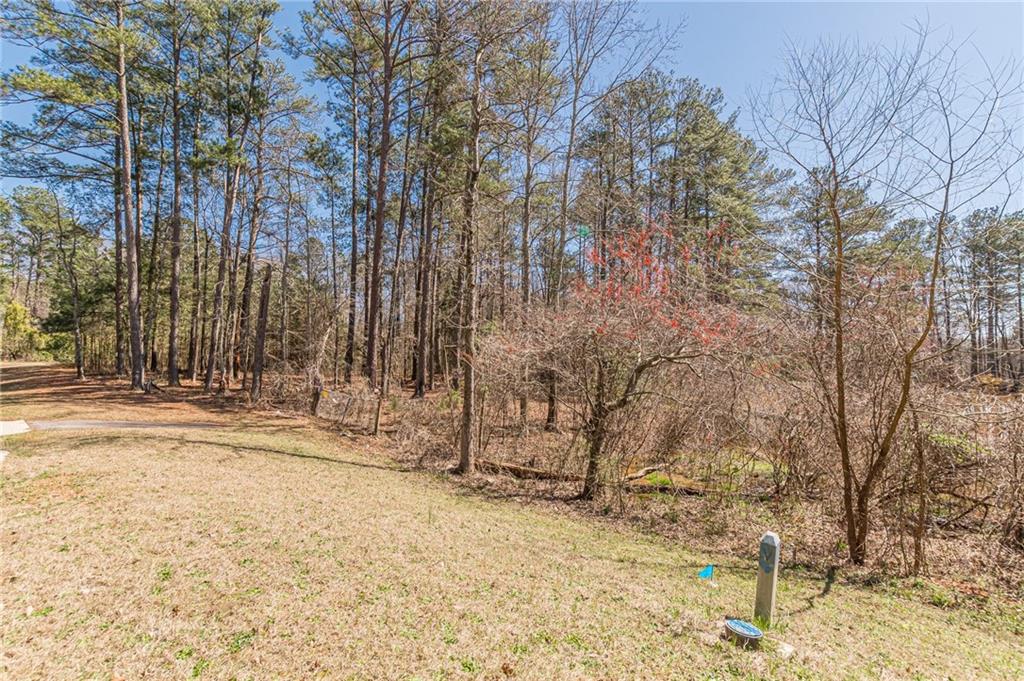 1966 Crescent Moon Drive, Conyers, Georgia image 2