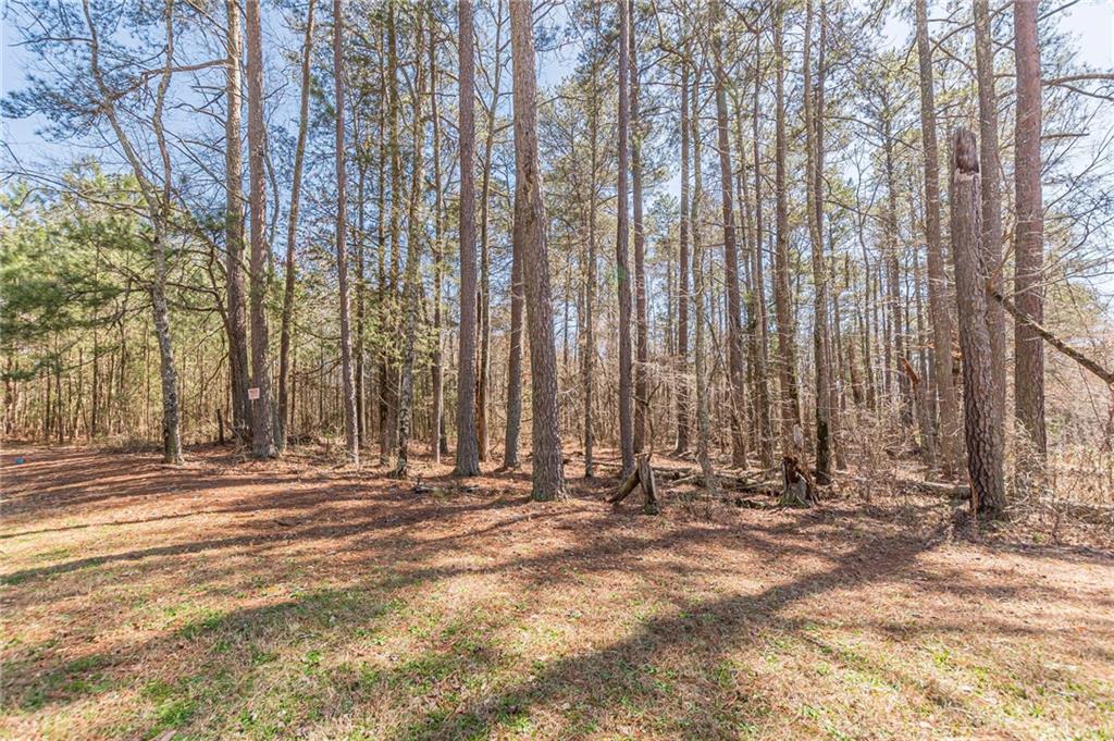 1966 Crescent Moon Drive, Conyers, Georgia image 5