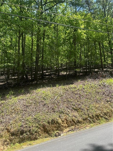 Vacant Land For Sale - 381 Hillside Drive<br/> Waleska, GA 30183