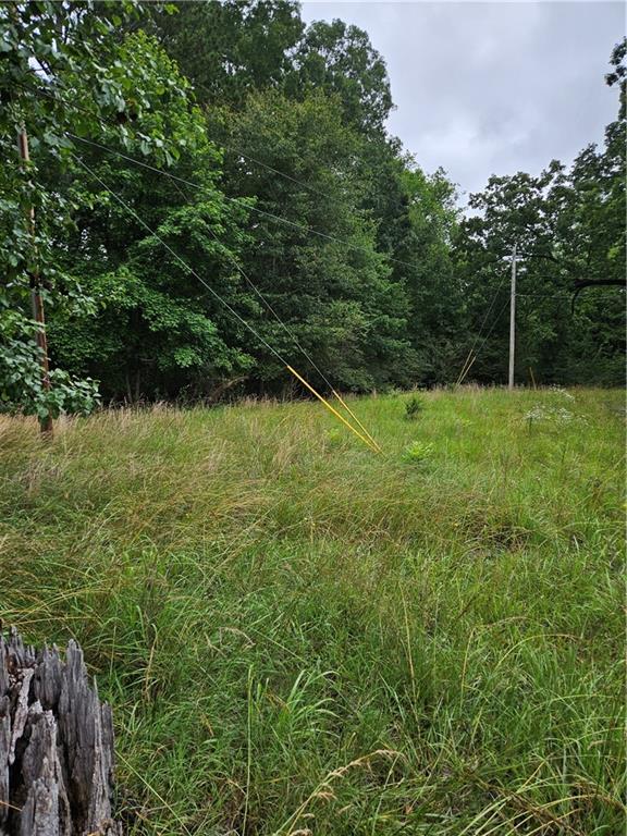 2539 Locust Grove Road, Griffin, Georgia image 4