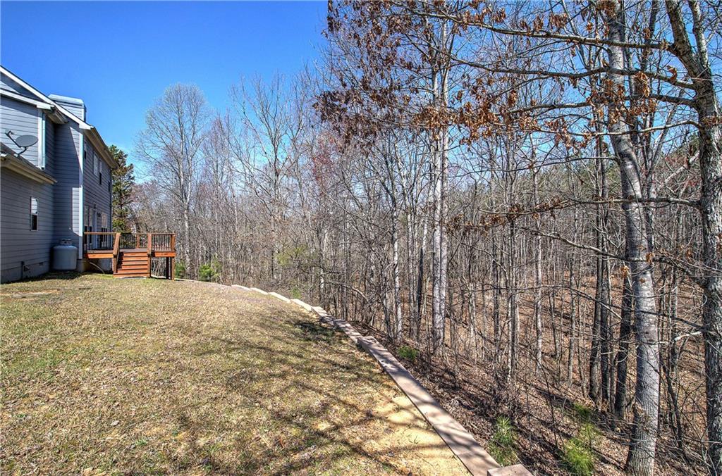 81 Stonebrook Drive, Rockmart, Georgia image 50