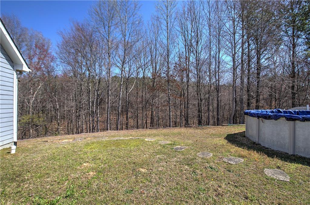81 Stonebrook Drive, Rockmart, Georgia image 47