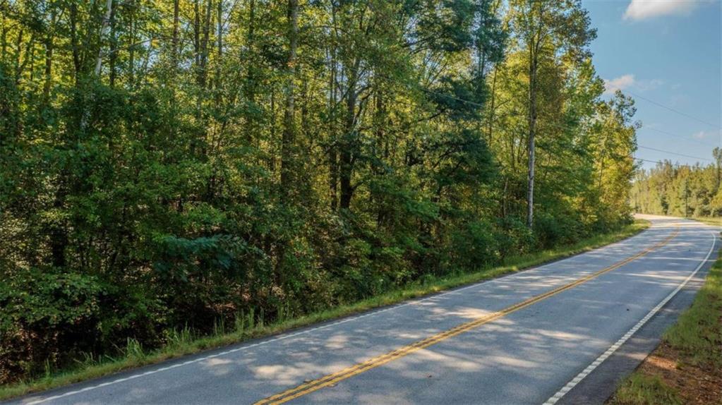 Mountain Home Rd, Cedartown, Georgia image 6