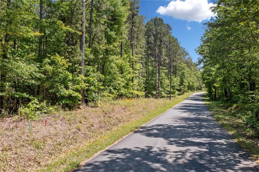 Timberwood Road, White, Georgia image 7