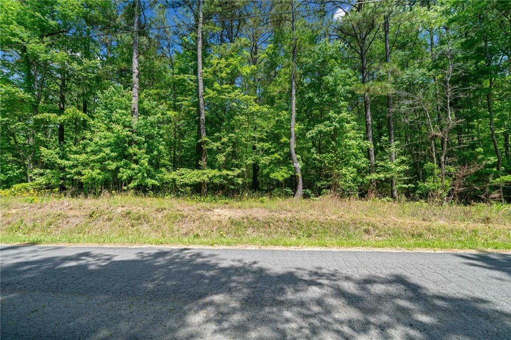 Timberwood Road, White, Georgia image 2