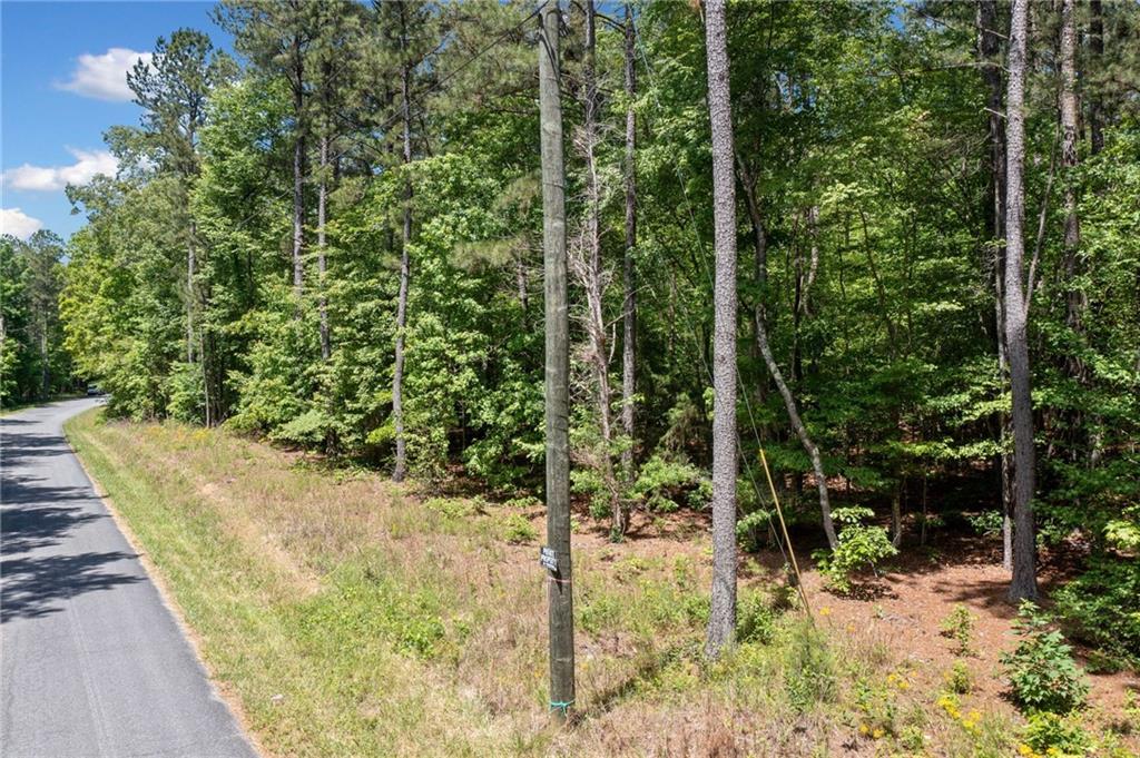 Timberwood Road, White, Georgia image 6