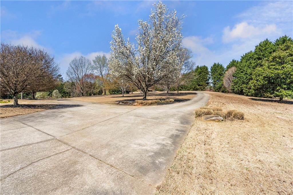 listing image 80
