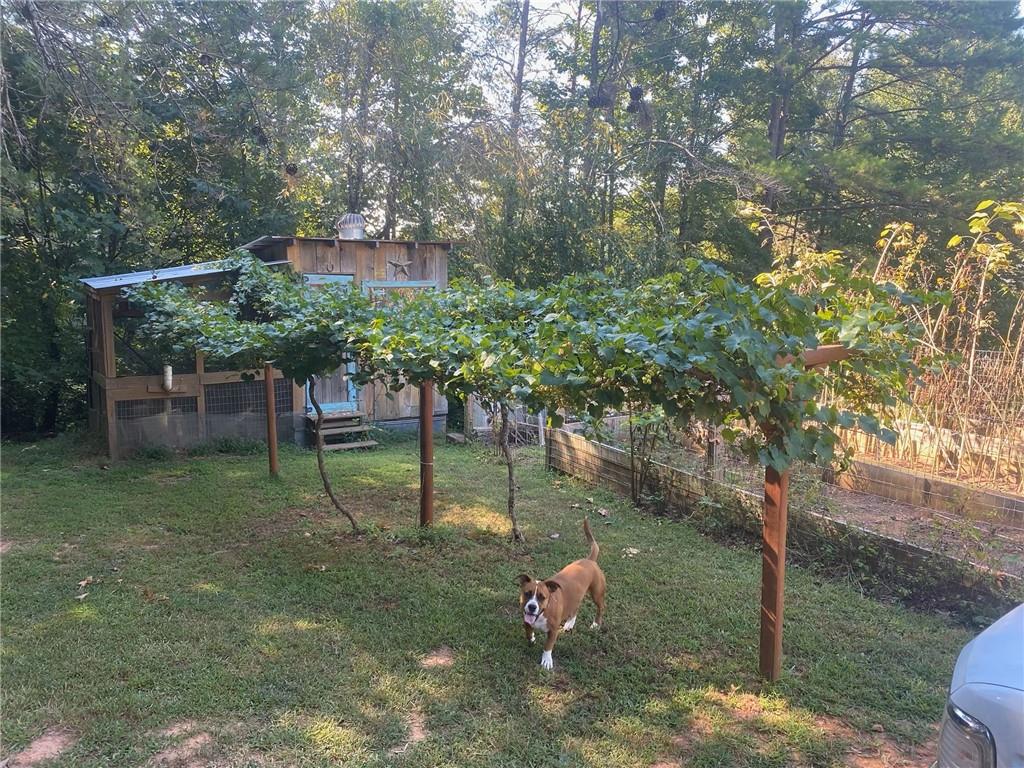 111 Vellenorth Road, Blue Ridge, Georgia image 45