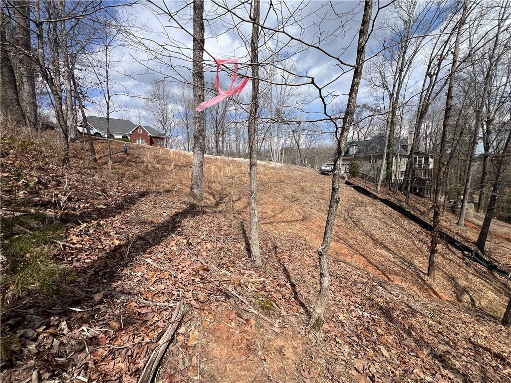 3393 Banks Mountain Drive