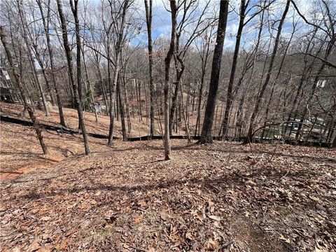 3393 Banks Mountain Drive Gainesville GA 30506