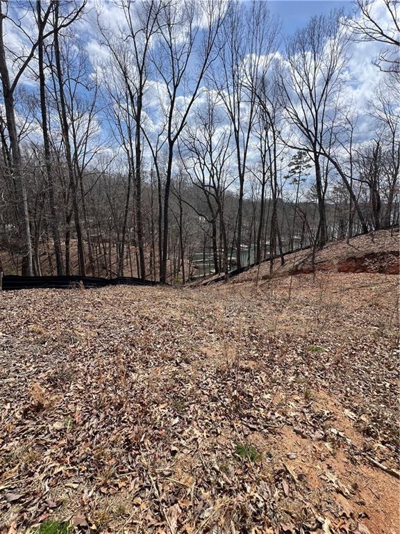 3393 Banks Mountain Drive