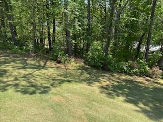 148 Hemlock Drive, Dawsonville, Georgia image 10