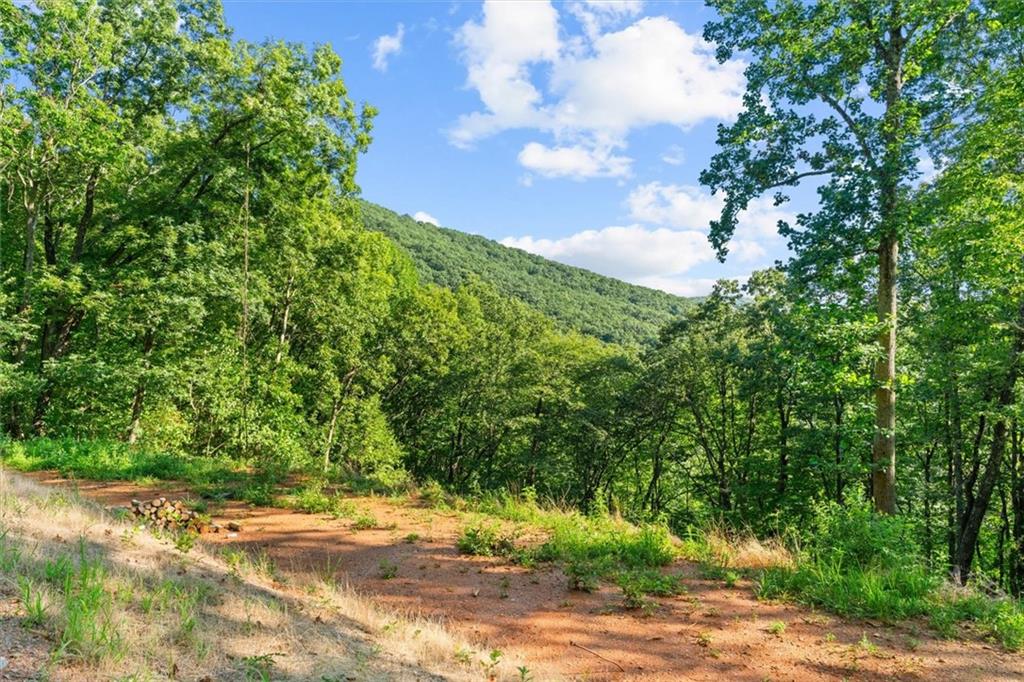 Lt 4-5 Fire Tower Road