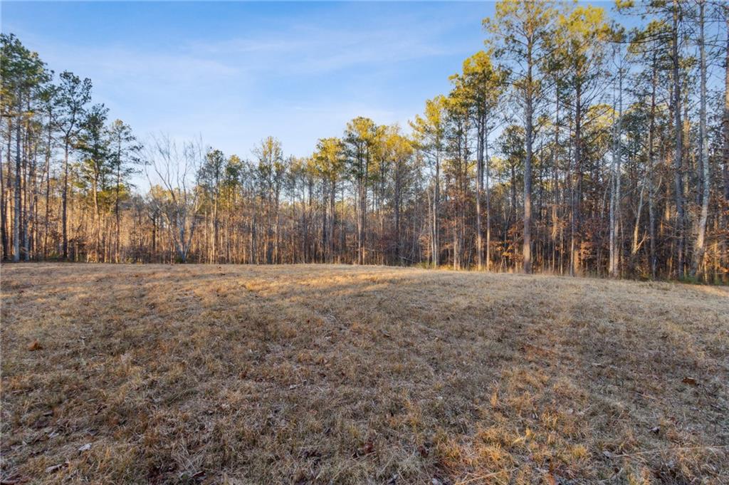 Maple Springs Road, Rockmart, Georgia image 9