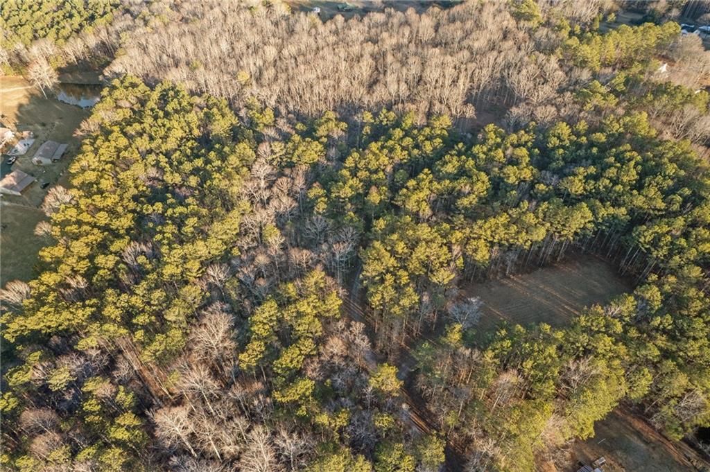 Maple Springs Road, Rockmart, Georgia image 27