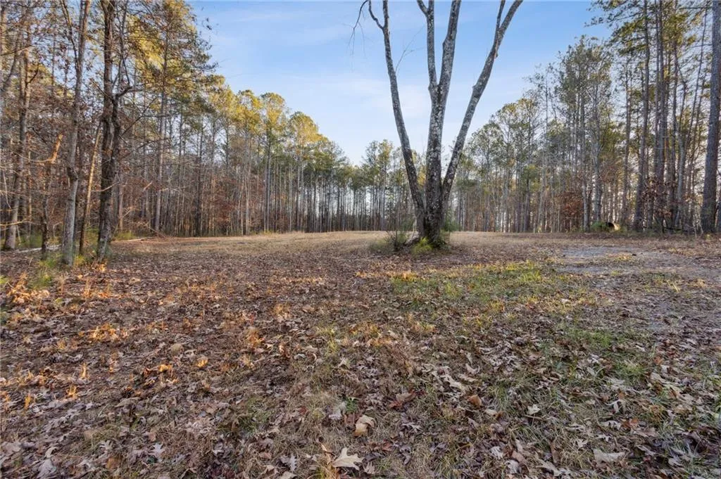 Rockmart, Georgia 30153, United States, ,Land,Active,22915