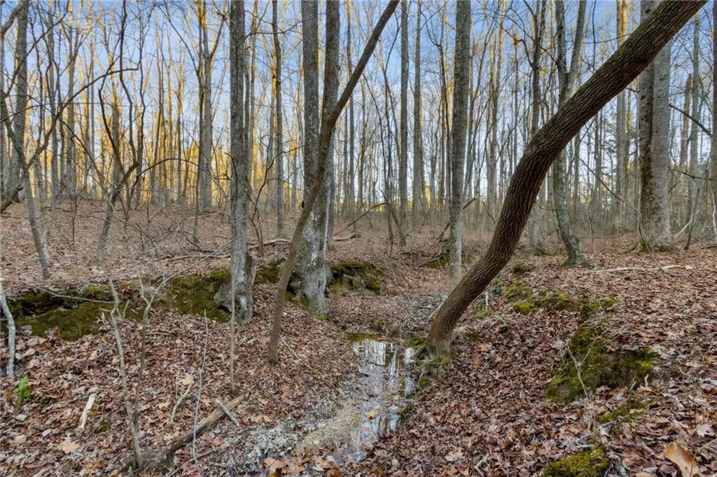 Rockmart, Georgia 30153, United States, ,Land,Active,22915