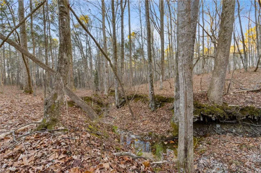 Rockmart, Georgia 30153, United States, ,Land,Active,22915