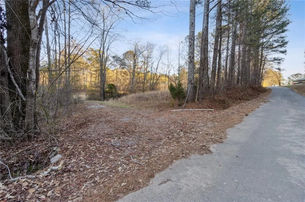 Rockmart, Georgia 30153, United States, ,Land,Active,22915