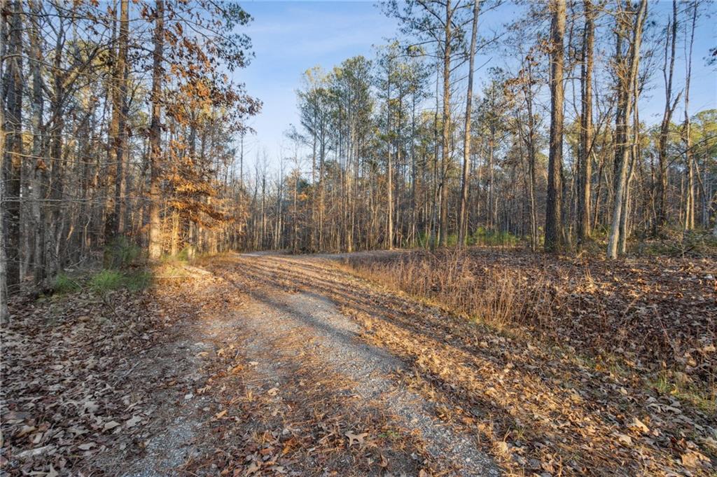 Maple Springs Road, Rockmart, Georgia image 6